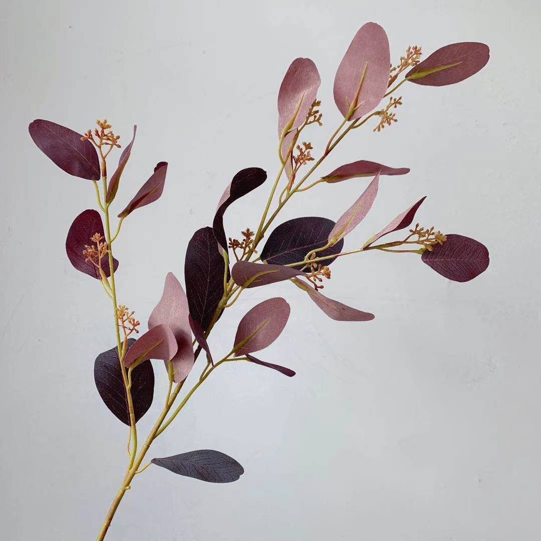 Natürlicher Eukalyptus-Stiel
