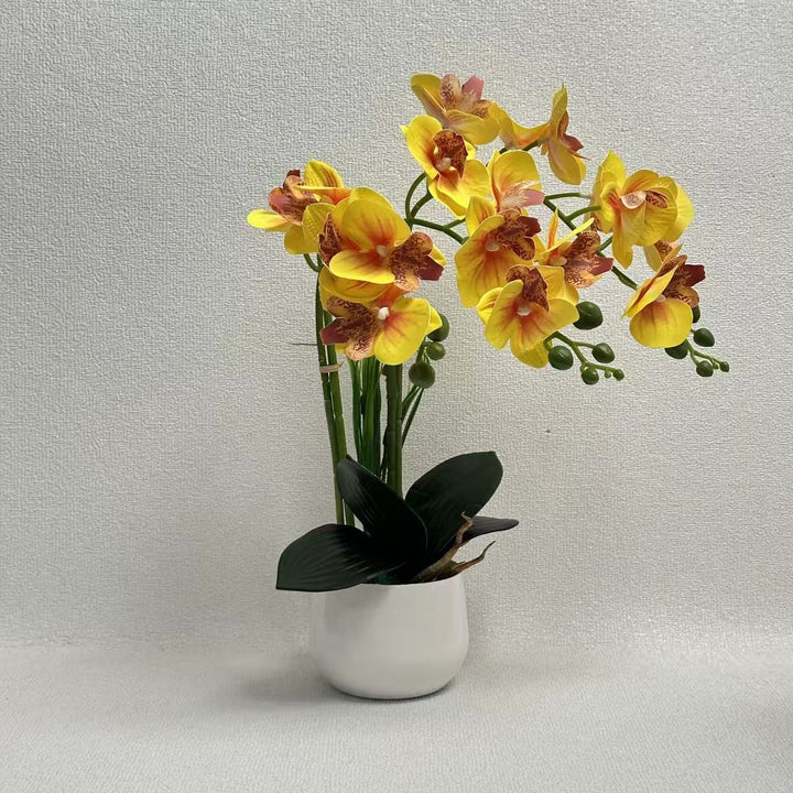 Exquisite Künstlicher Orchideen Ausstellung