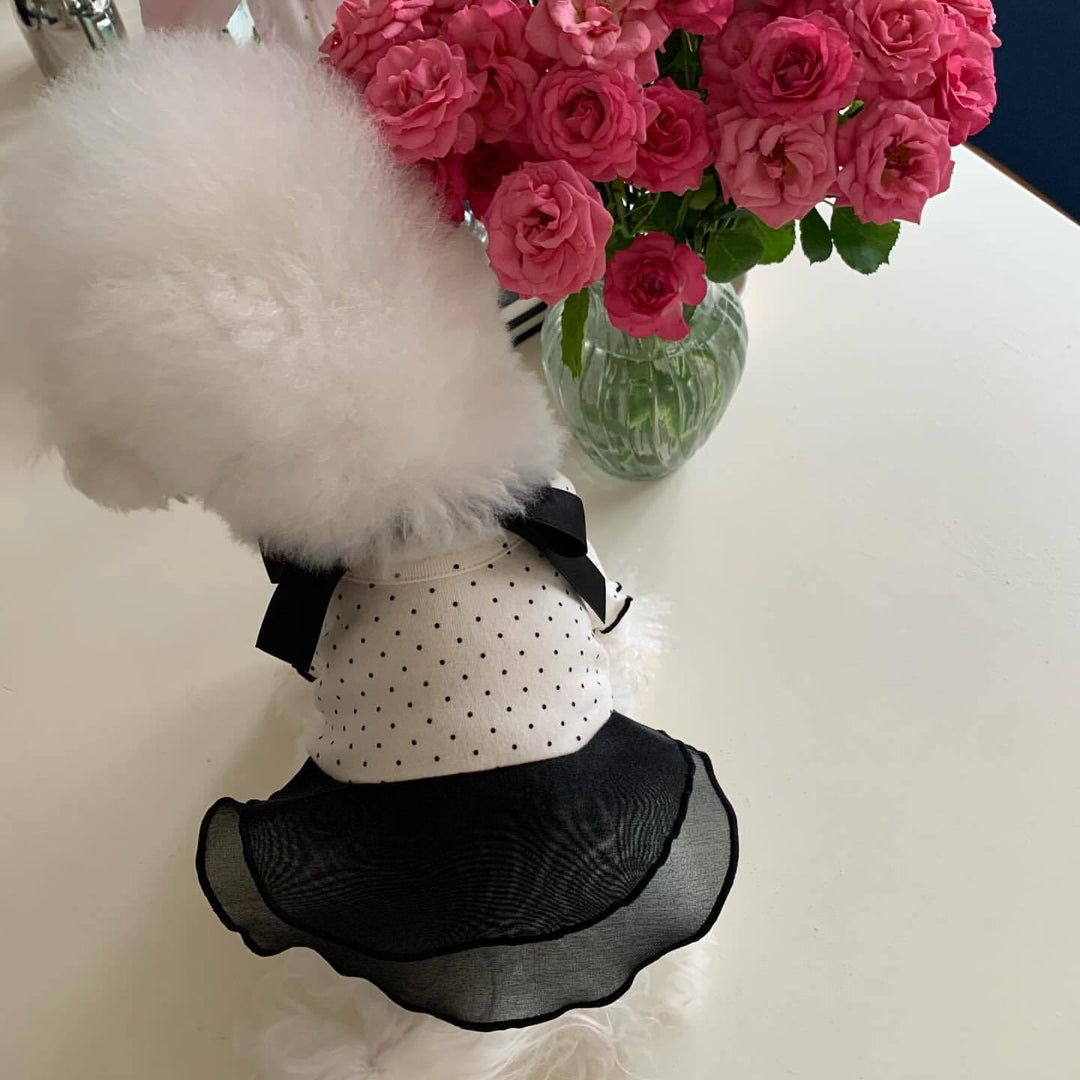 Polka Dot Chiffon Kleid für Haustiere mit Grosgrain