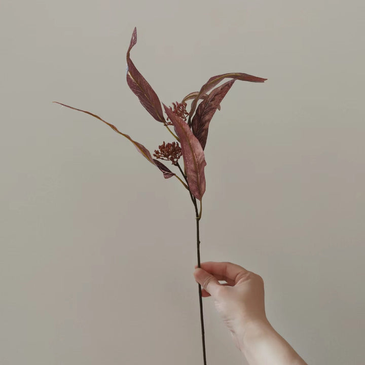 Natürlich getrockneter Blumenstiel