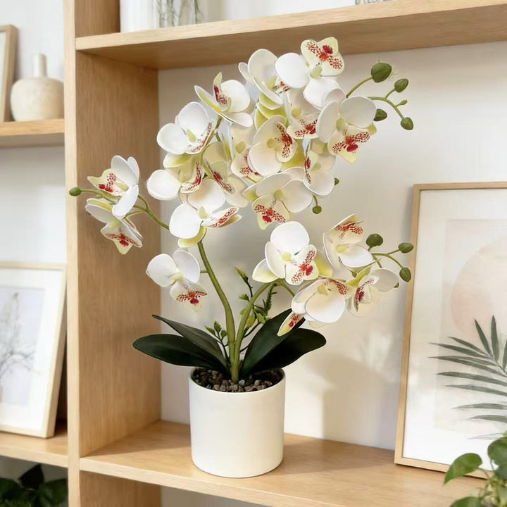 Lebensechte künstliche Orchideenpflanze