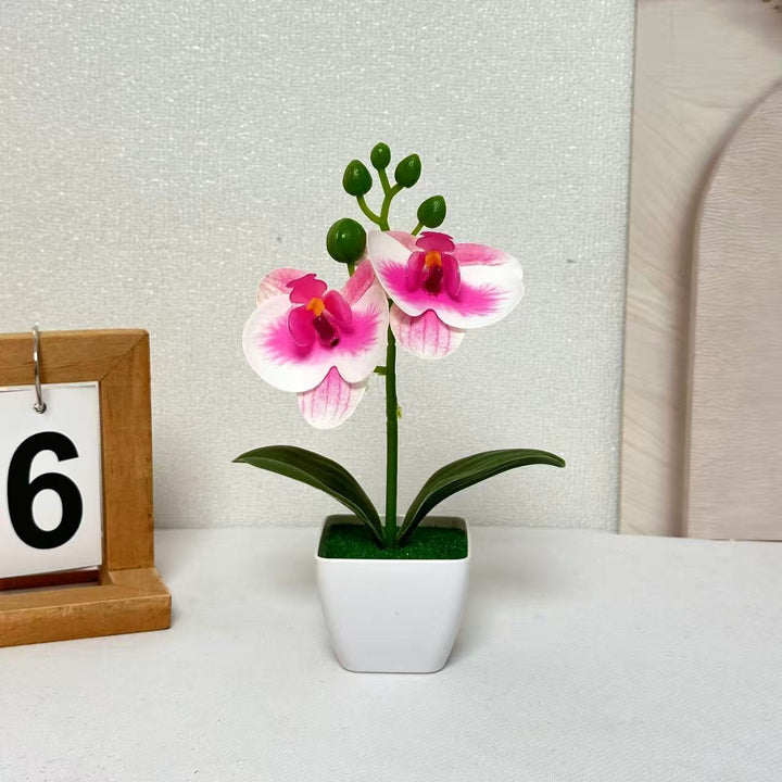 Lebensechte florale Orchideen-Darstellung für die Inneneinrichtung