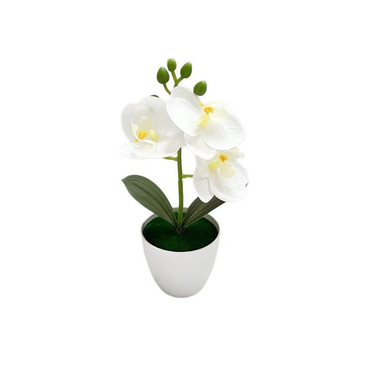 Lebensechte Orchideenblumenarrangement