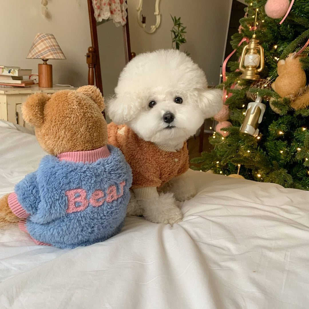 Teddy-Plüsch-Pullover-Hundepullover mit hochgeschnittenem geripptem Kragen und gestickter Schriftzüge