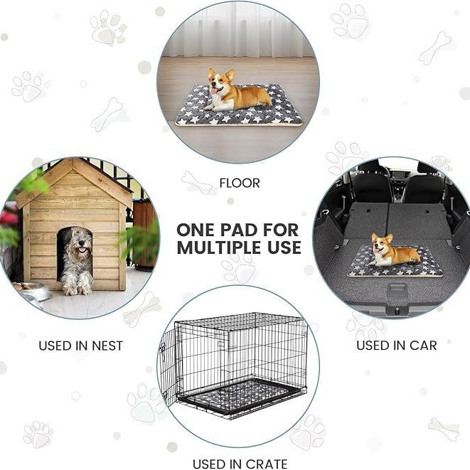 Komfortmatte   Hundebett