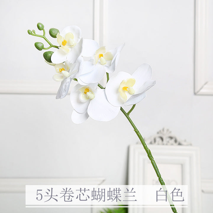 Realistische Orchideenblütenstängel
