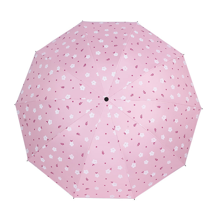 Damen Regenschirm Karnz