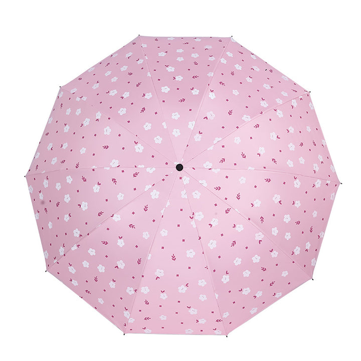 Damen Regenschirm Karnz