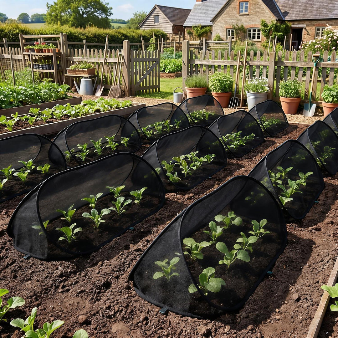 Gartenpflanzen Schutz Karnz