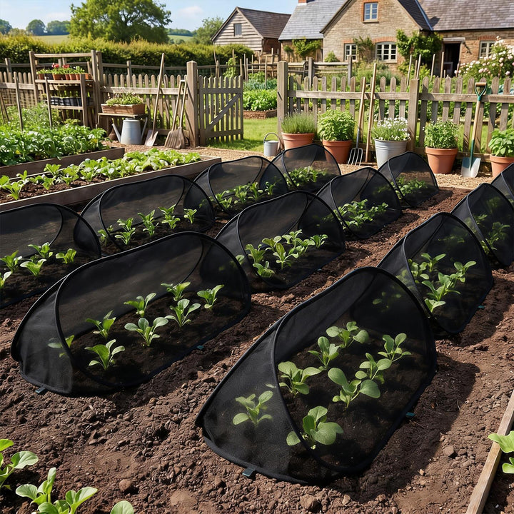 Gartenpflanzen Schutz Karnz