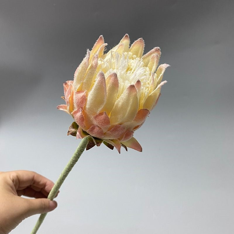 Lebensechter Protea Blumenstängel