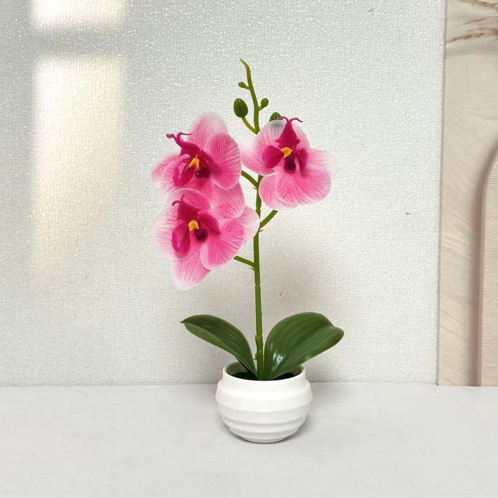 Elegante dekorative Orchideenpflanzenanordnung für die Wohnkultur