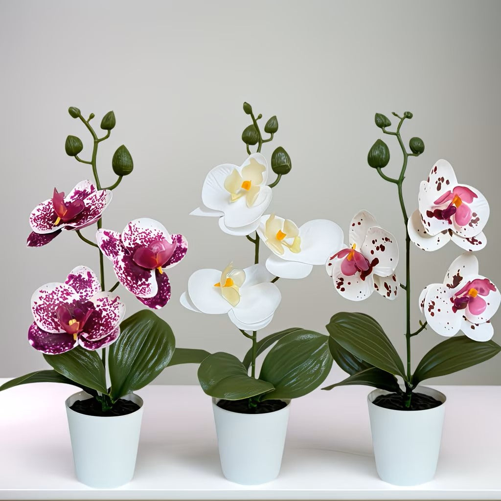 Realistische Künstliche Orchideenarrangement