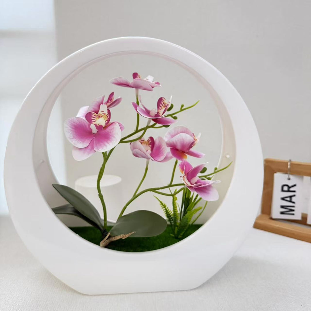 Dekorative Orchideen-Darstellung für die Inneneinrichtung