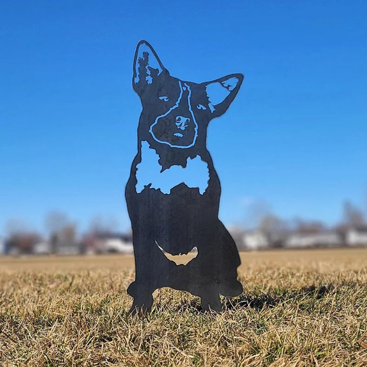 Cairn Terrier | Karnz
