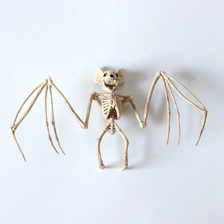 Anatomisches Skelettmodell