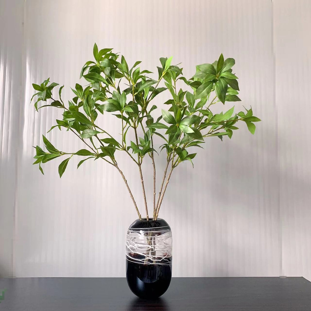 Elegante dekorative Blatta stem