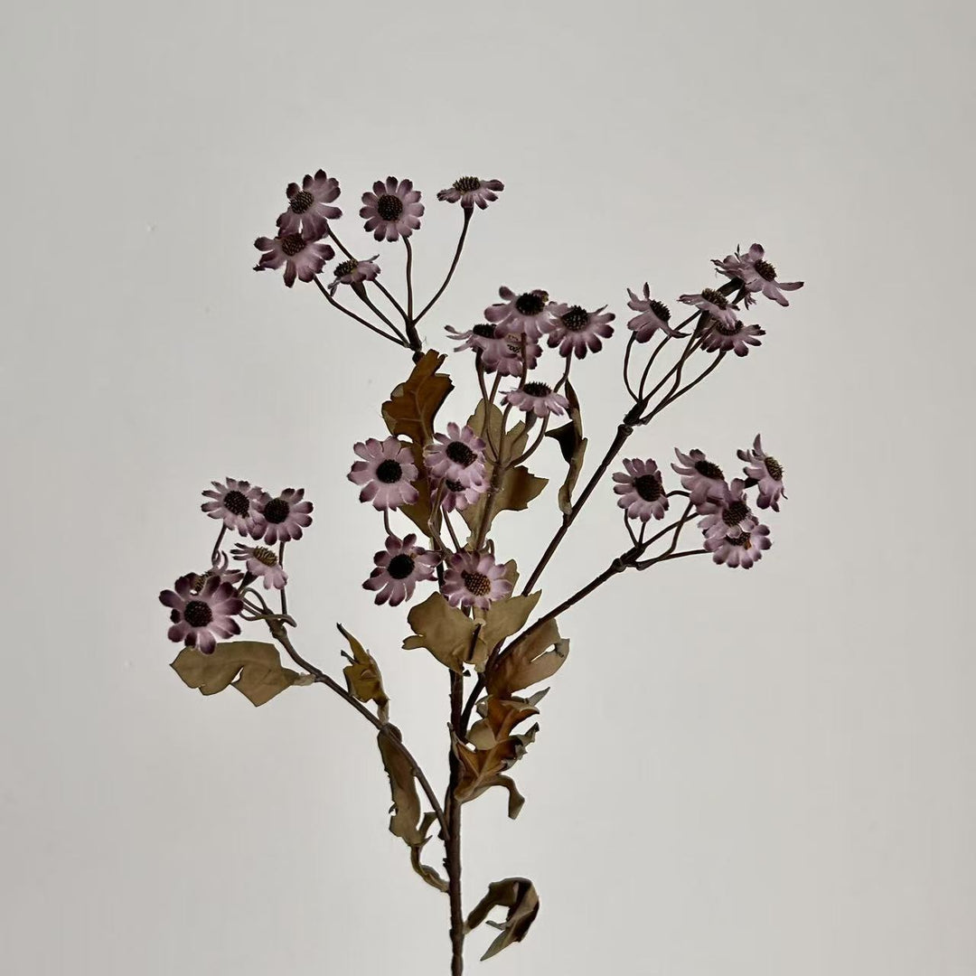 Dekorative Trockenblumen Karnz