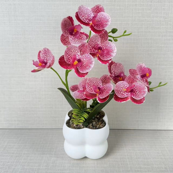 Lebensechte Orchideen-Blumenanzeige