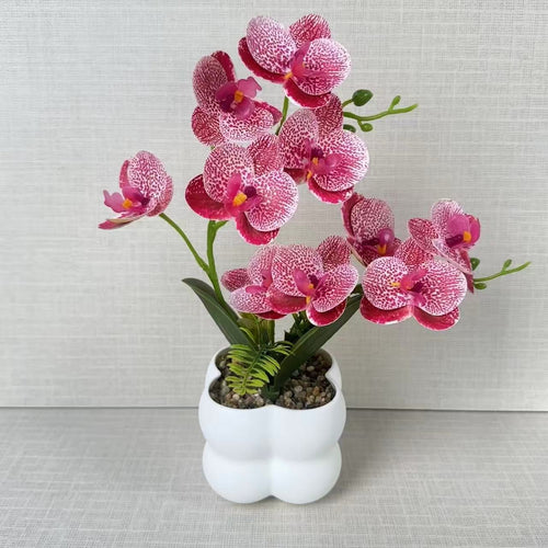Lebensechte Orchideen-Blumenanzeige