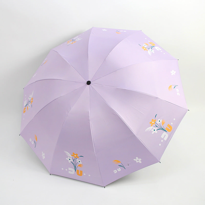 Damen Regenschirm Karnz