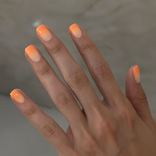 Kunstnagelset mit elegantem Ombré-Design Karnz