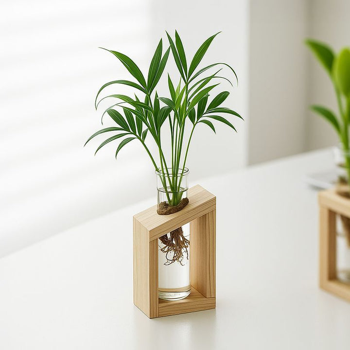 Elegantes Glas Pflanzenhalter-Set für die Wohnkultur