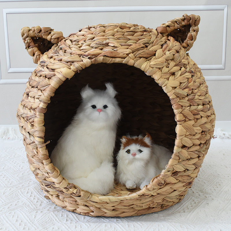 Katze Bett Karnz