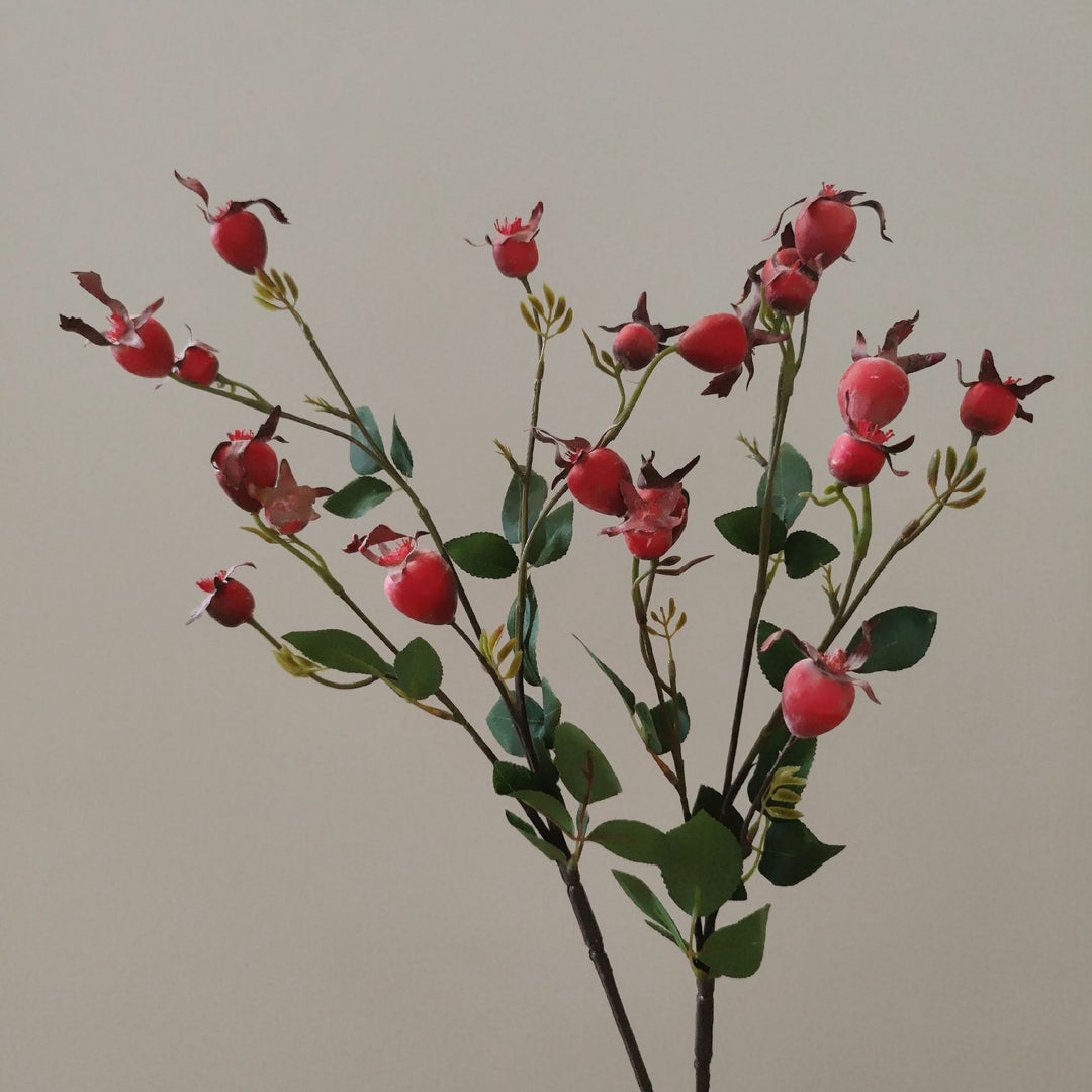 Dekorativer natürlicher getrockneter Blumenstiel