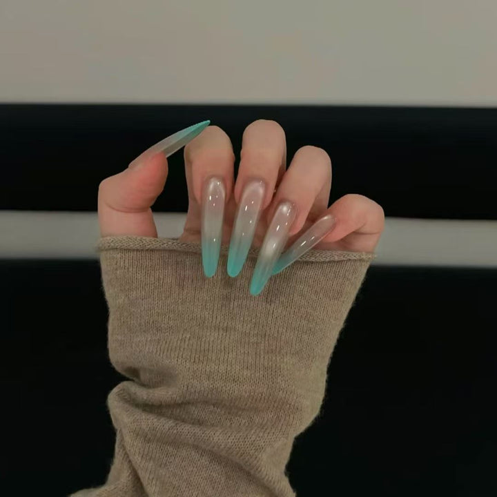 Künstlerische Lange Stiletto-Nagelverzierungen Karnz