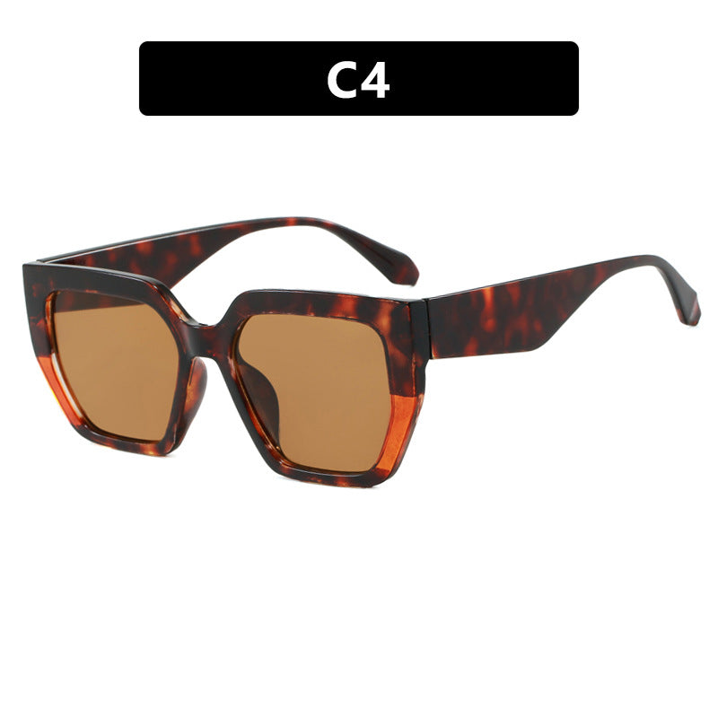 Damen geometrische Brille im modischen Schildkrötenmuster Karnz