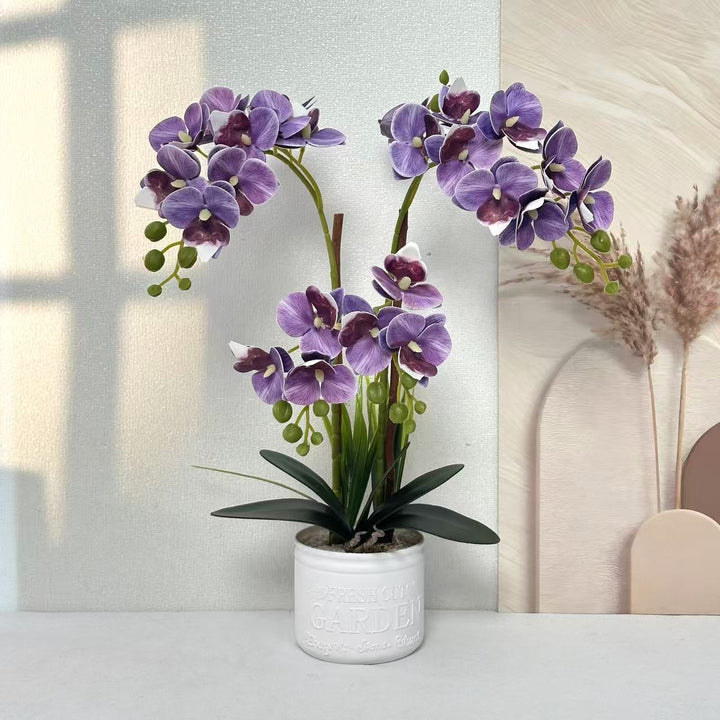 Dekorative Topfpflanzen-Orchideen-Anordnung für Tischdeko