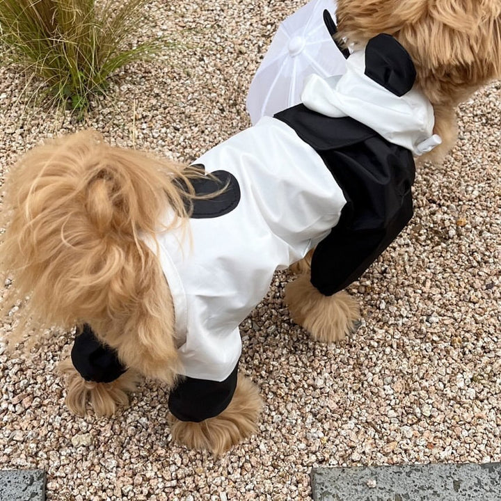 Kontrastpaneel Leichter Hundestrampler
