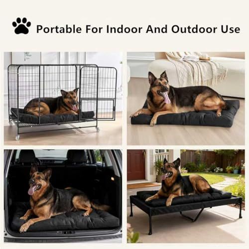 Hunde Bett Karnz