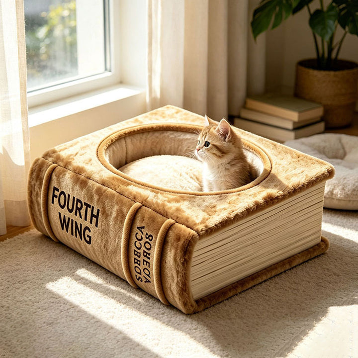 Katze Bett