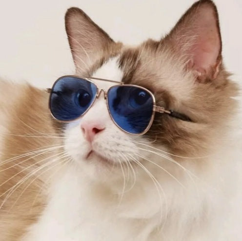 Aviator Stil Karnz Sonnenbrille