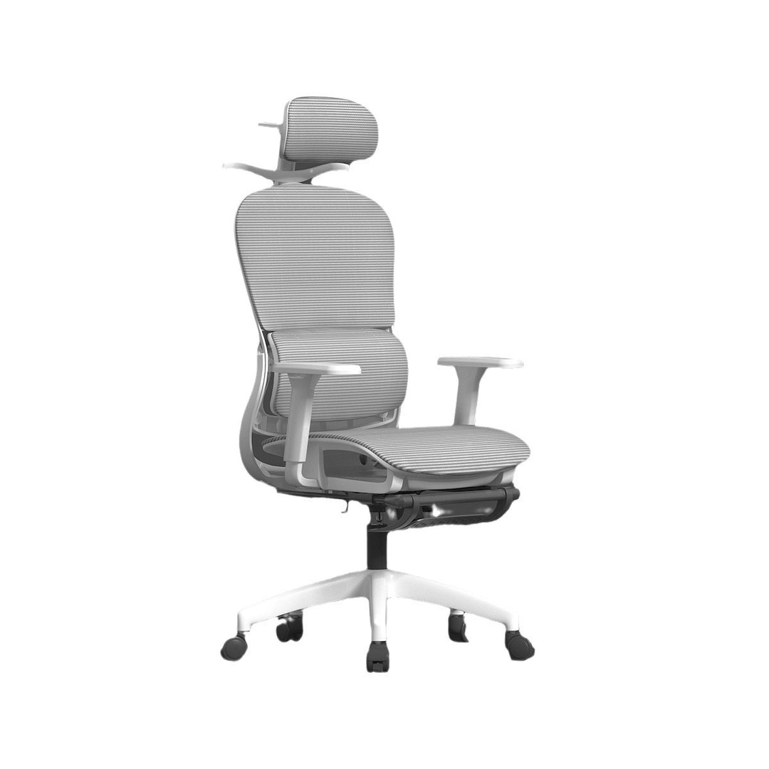 Büro Ergonomischer Bürostuhl Karnz