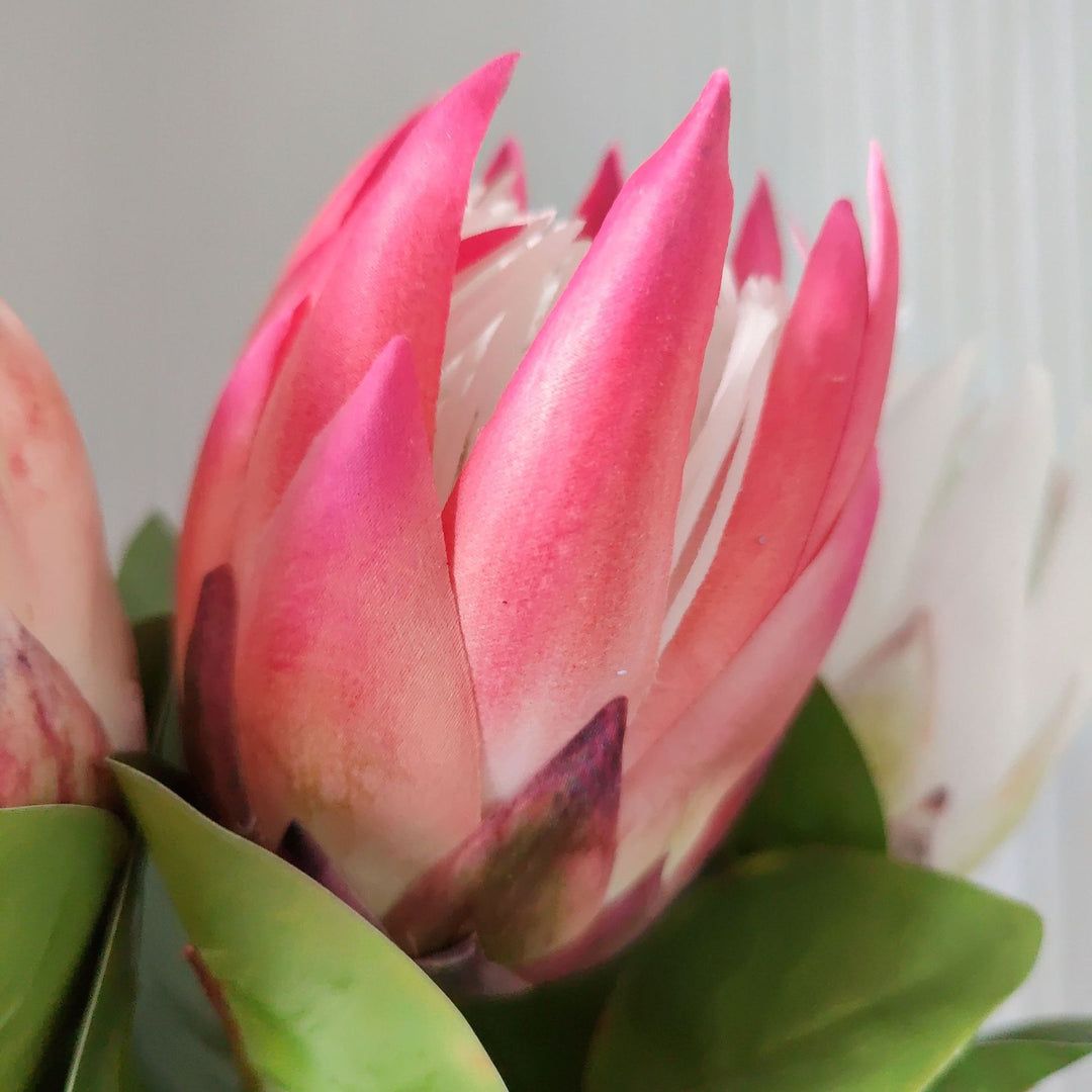 Lebensechter Protea-Blütenstiel