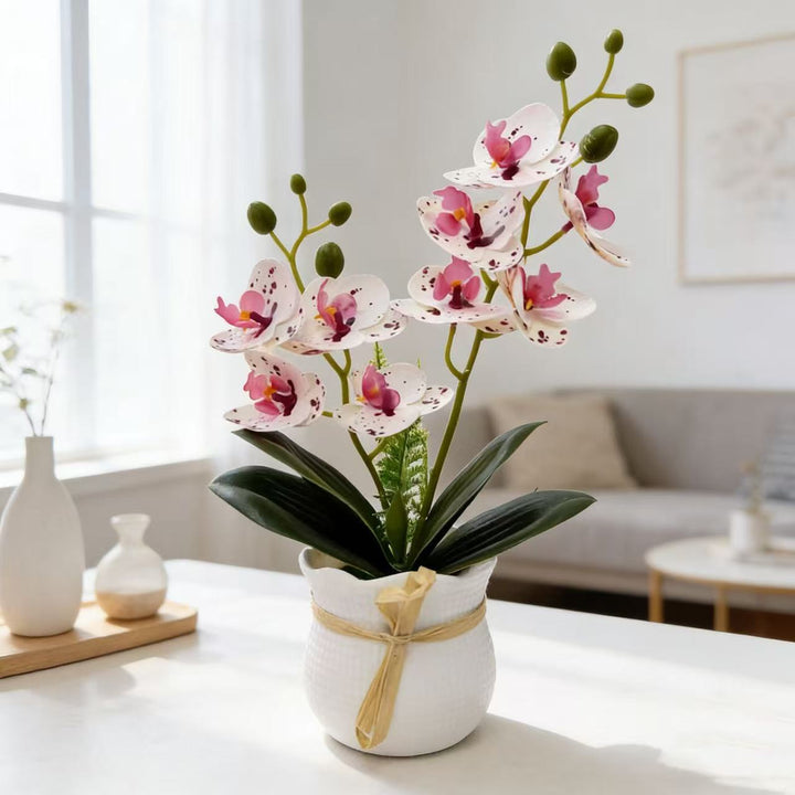 Realistische Dekorative Orchideenpflanze