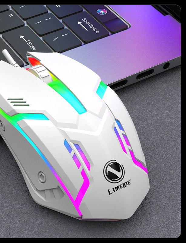 Hochleistungs-Gaming-Maus mit anpassbarer RGB-Beleuchtung Karnz