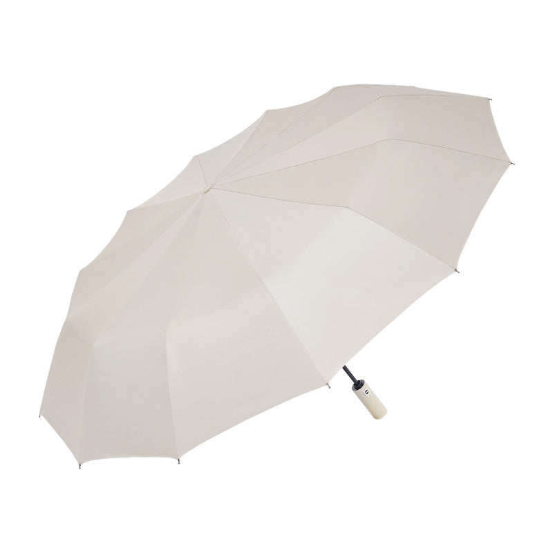 Damen Faltbare Regenschirm Karnz