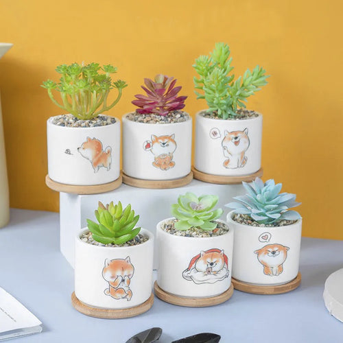 Niedlicher Tier-Themen-Sukkulenten-Planter Karnz
