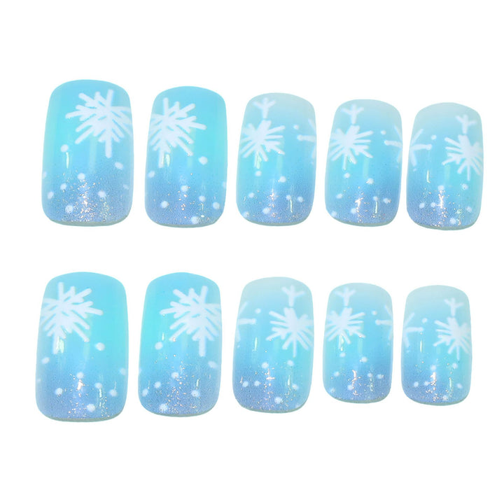 Künstlerische Frosted Winter Nagelkunst Karnz