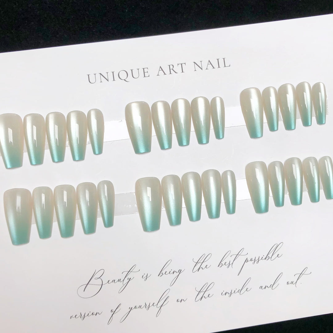 Premium-Qualität Nagelspitzen Set