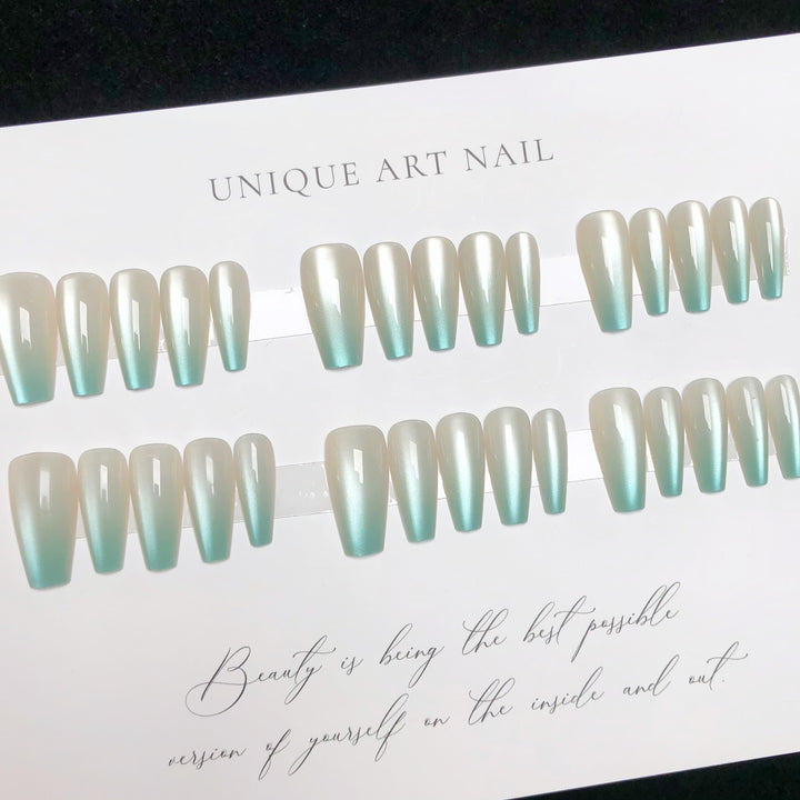 Premium-Qualität Nagelspitzen Set