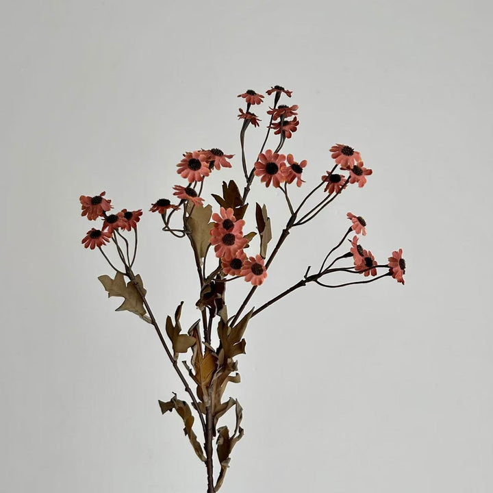 Dekorative Trockenblumen Karnz