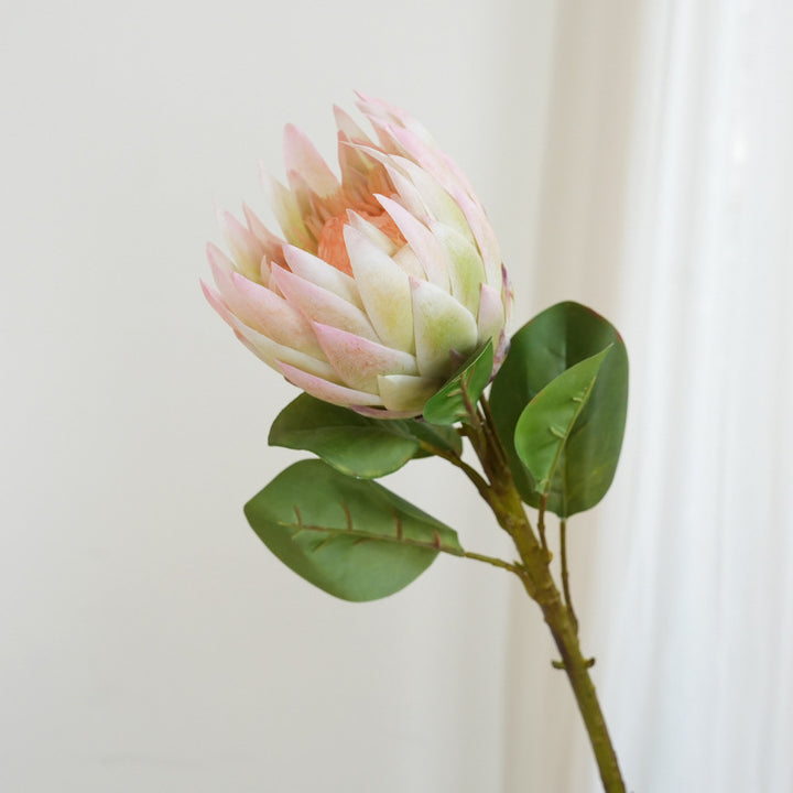 Künstliche Protea Blume Karnz