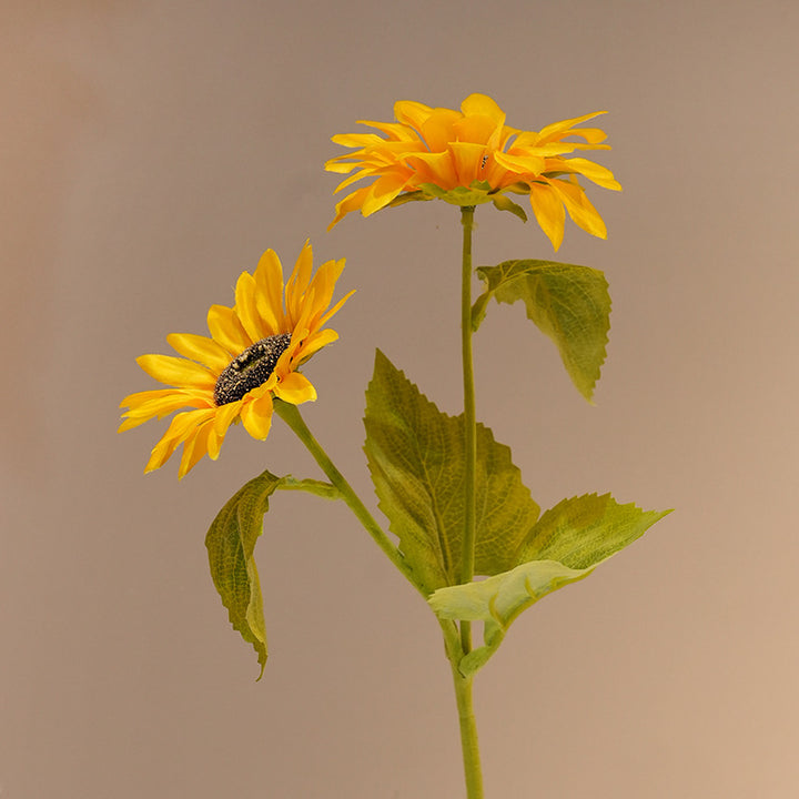 Dekorative Sonnenblume Karnz