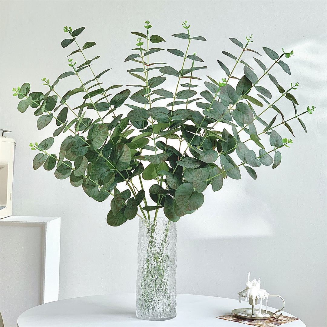 Eukalyptus Dekorative Anordnung