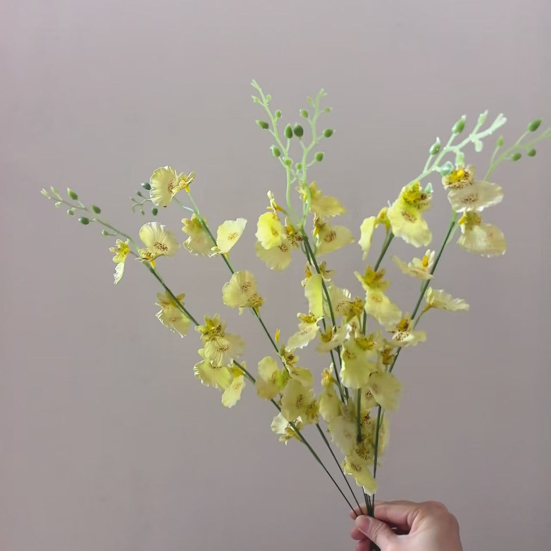 Dekorative Orchideenstängel
